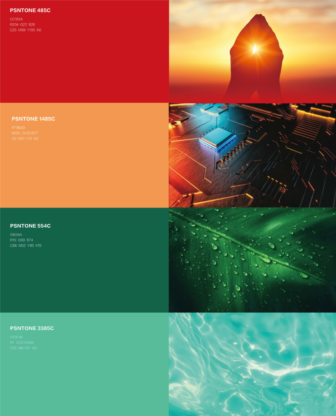 365Ӣ������(����)���޹�˾-Official website