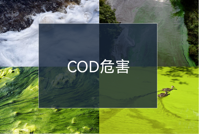 365Ó¢¹úÉÏÊÐ(¼¯ÍÅ)ÓÐÏÞ¹«Ë¾-Official website